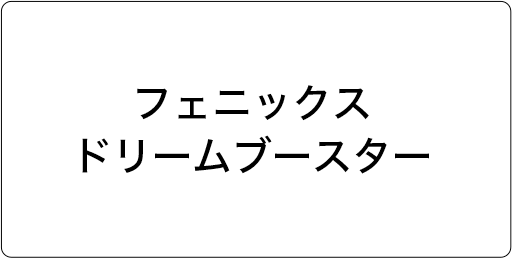 フェニックスドリームブースター